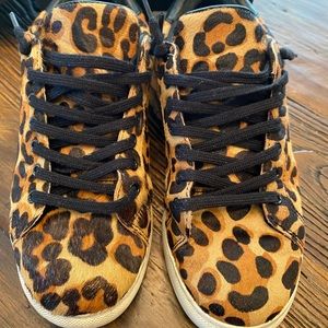 Steven Peyton-R Leopard